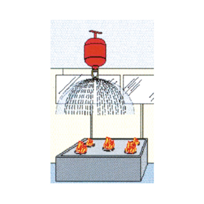 ESTINTORE AUTOMATICO Kg 1 POLVRE CO2