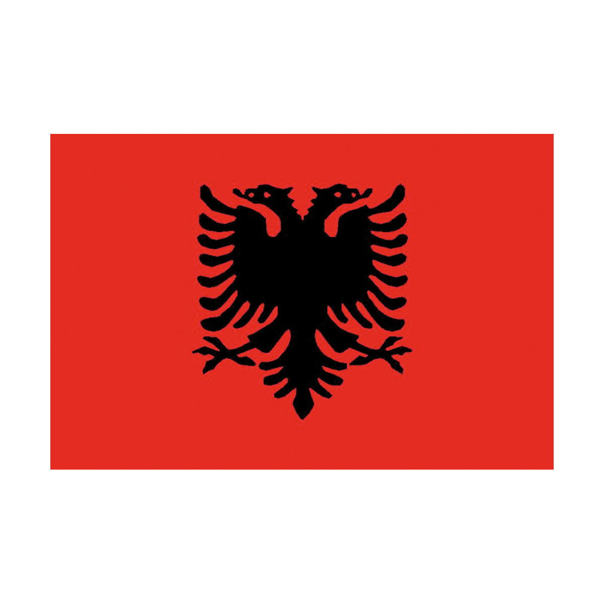 Bandiera: Albania, bandiera ritratto, 6m²